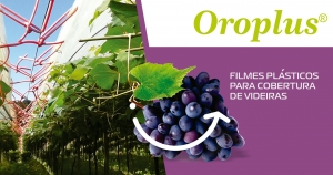 Oroplus®